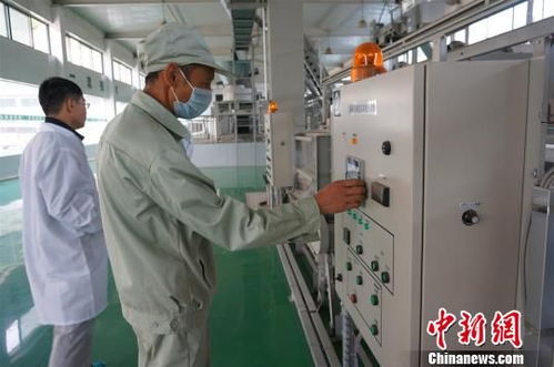 湖北三峡茶谷产业园重点项目集中开工