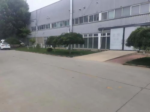 推推99 塑造房地产精英的理想平台