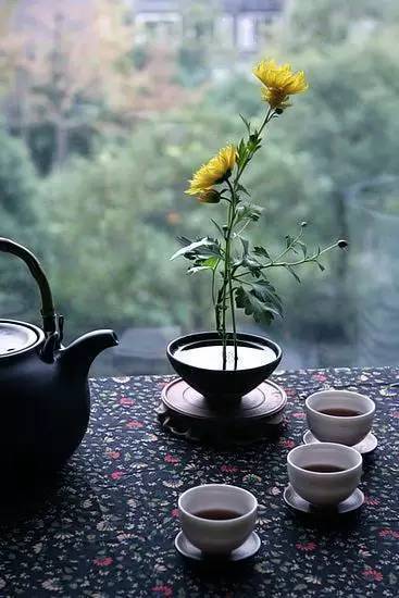 为你朗读 知足 感恩