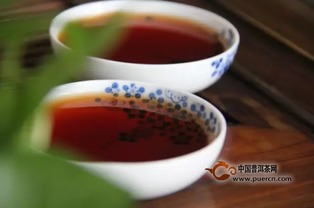 干货 如何正确冲泡新生普 老生普茶