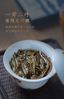 与思想者同行,茶是极好的媒介