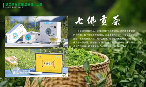 遇见熊猫家园,品味青川山珍