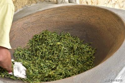 精加工与初加工的普洱茶差别在哪里?很多茶发货晚,原因在这里