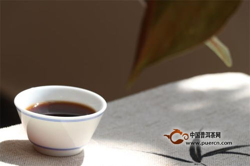 一盏清泉普洱茶价格及产品详情