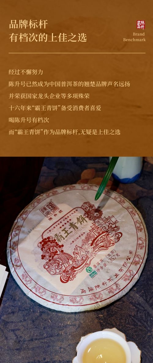 茶中霸王 其质如名 陈升号2024年 霸王青饼 面市 茶友网