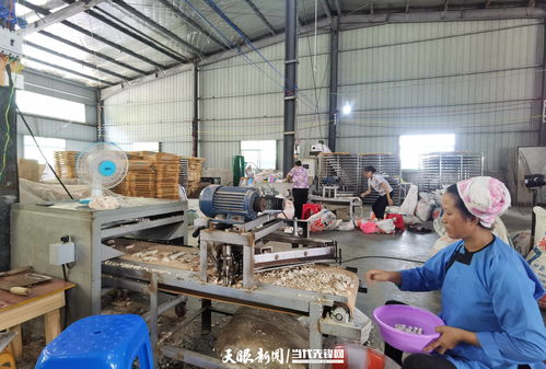 黎平 就业岗位送到家 扶贫车间 变 致富工厂