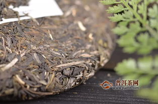 石雨益昌号滑竹梁子 总有一种西双版纳巅峰的味道让你无法忘怀 产品新闻,普洱茶产品新闻,新品上市新闻 普洱茶网