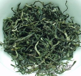 紫阳毛尖的发展