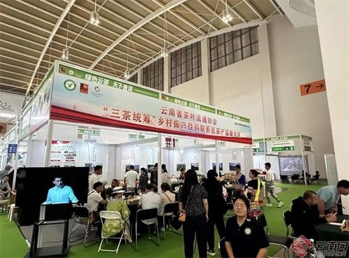 普洱茶博览会 云南省茶叶流通协会 三茶统筹 乡村振兴挂钩联系点茶产品亮相