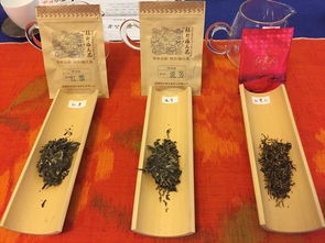 长江零公里的观山茶会 以茶会友何尝不是回归生活的尝试
