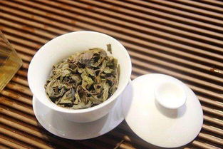 茶界内行都讨论的四点,你知道几点