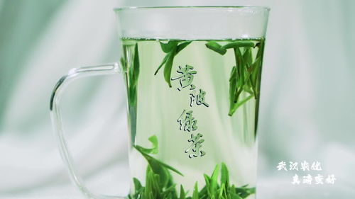 武汉优质农产品黄陂茶叶 天庭琼浆玉液 人间黄陂绿茶