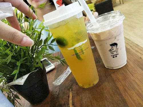 呔茶 专心做茶饮产品