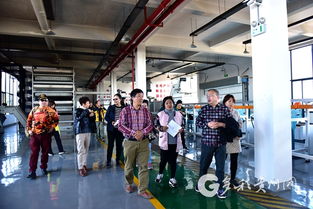 多彩贵州网 贵州省作协采风团实地考察朗德苗寨 农食用菌场 茶叶加工厂