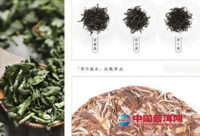 朝仙茶业精选普洱茶叶原料供应商联系方式