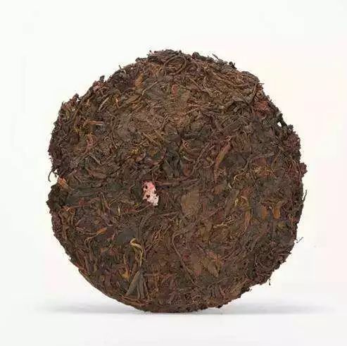 还未开发的金山 普洱老茶