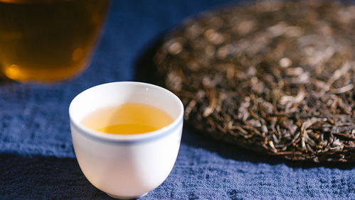 云南古树普洱茶纯正茶叶,生茶与熟茶价格实,批发购买请联系