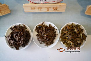 中吉号联合茶业复兴230期复兴沙龙,麻黑为什么重要