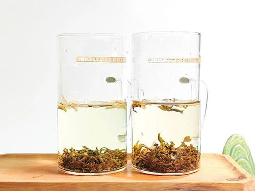 炒青与烘青茉莉花茶的对比,三万昌碧螺茉莉对碧潭飘雪特级茉莉