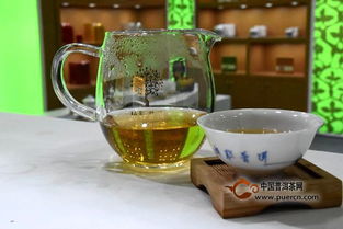 第十五届中国普洱茶节开幕,各茶企齐聚普洱