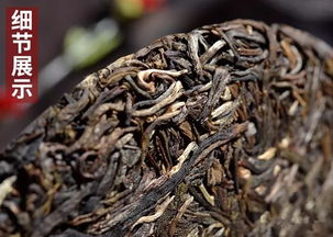 品鉴2019年石雨益昌号布朗古树饼茶