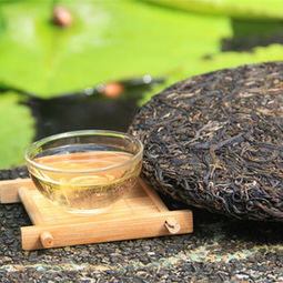 圆茶 景迈古树纯料 福元昌圆茶