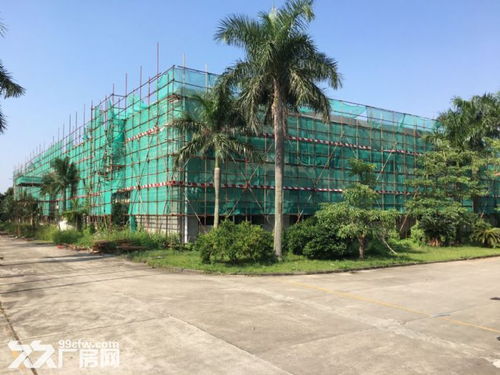 如果您错过了,就请回头在看看