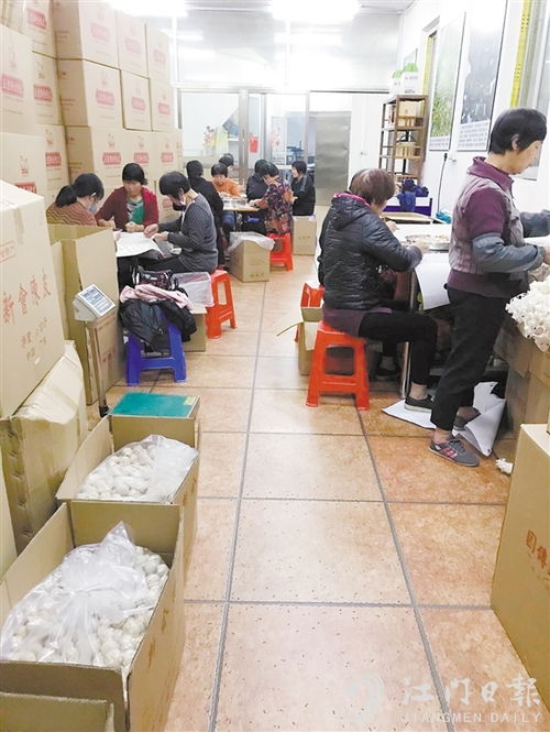 昌联茶叶 江门传统茶文化的守护者与创新者