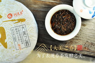 润元昌精品普洱熟茶 春茶发酵的精粹之选