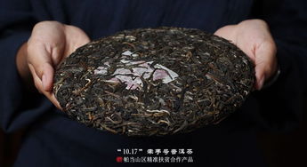 2019年福元昌牵手号扶贫茶帕当山区生茶357克价格与购买指南