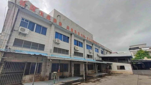 我为群众办实事 恩平昌联茶叶助力群众幸福感持续提升