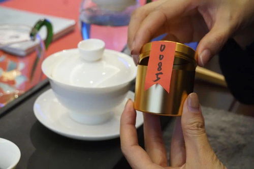 好茶，好书，好时光 ——《普洱》杂志15周年暨澜沧古茶全国联动品读会百城盛放