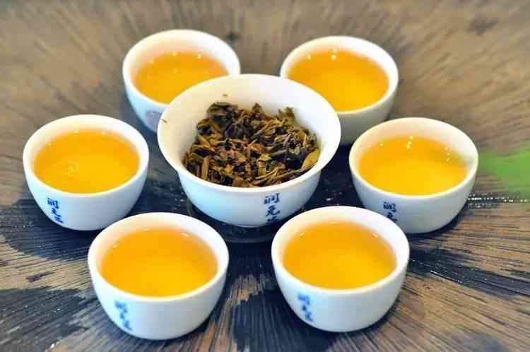 普洱茶选购全指南 从入门到精通的辨别技巧与经典口味推荐